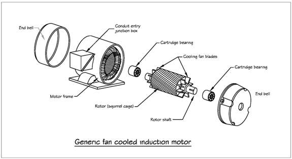 Anatomy of an induction motor